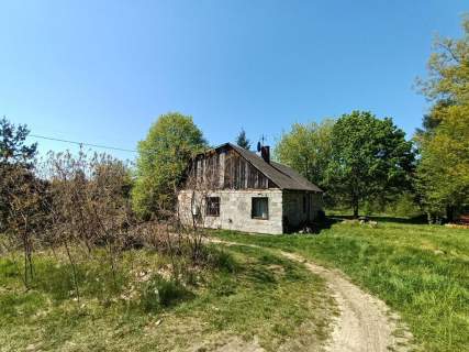 Siedlisko w cichej okolicy 100 km od Warszawy.