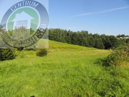 Działka budowlana na sprzedaż, 1045 m2, Nowy Sącz