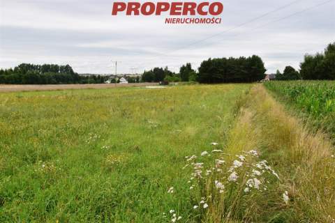 Działka 3000m2, Wolica, gm. Jędrzejów