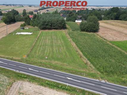 Działka 3000m2, Wolica, gm. Jędrzejów