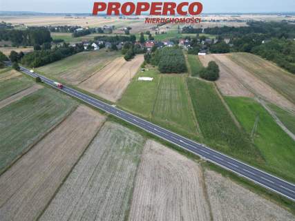 Działka 3000m2, Wolica, gm. Jędrzejów