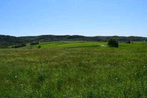 Działki rolne 86a i 112a- Brzeziny