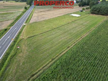 Działka 3000m2, Wolica, gm. Jędrzejów