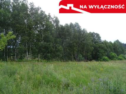 DUŻA DZIAŁKA Z POTENCJAŁEM