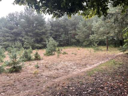 Działka budowlana blisko Radawy