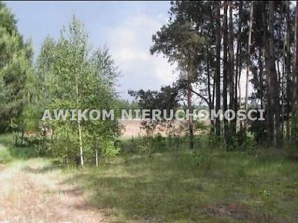 Działka budowlana na sprzedaż, 11500 m2, Piotrkowice