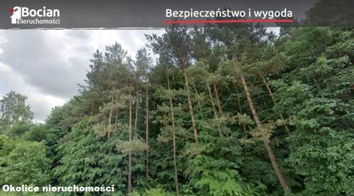 Działka z własnym lasem - Borkowo k. Żukowa 