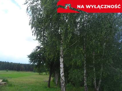 DUŻA DZIAŁKA Z POTENCJAŁEM