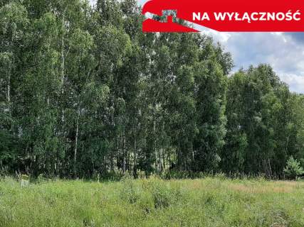 DUŻA DZIAŁKA Z POTENCJAŁEM