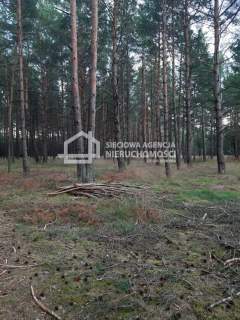 6,35ha Wdzydze Tucholskie nad jeziorem Wdzydzkim 