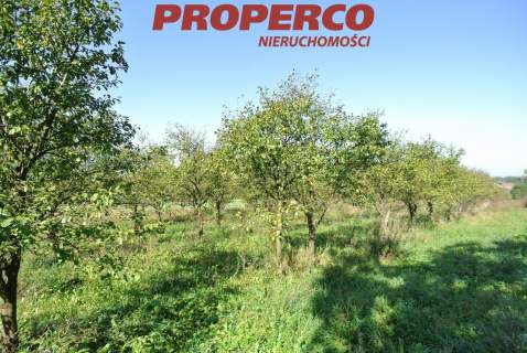 Działka 5400m2, Widuchowa, Busko-Zdrój