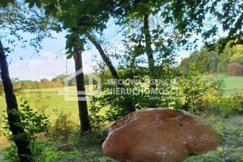 Atrakcyjna działka budowlana 1264 m2, Jodłowno