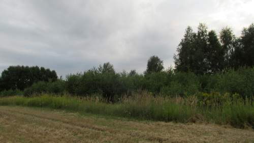 Działka pod staw, pasiekę, rekreac w gminie Laszki