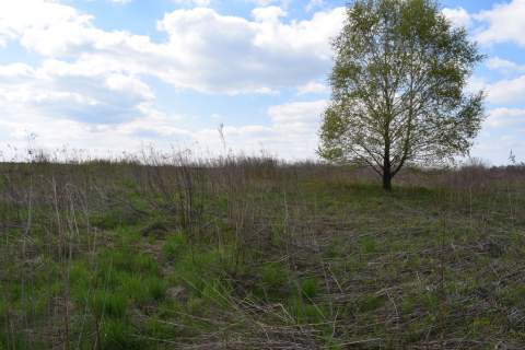 Działka rolno-budowlana 28a, Chmielnik