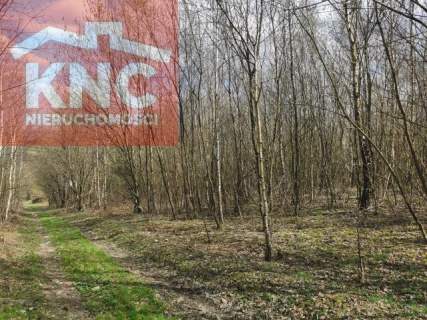 Działka rekreacyjna 22a- Iwonicz-Zdrój
