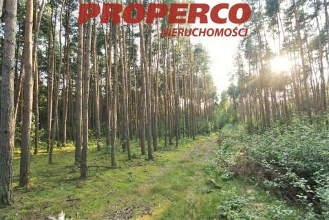 Działka 35 000 m2, Mościska, Grodzisk