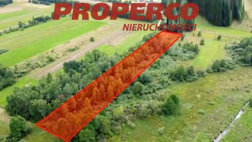 Działka 11 100 m2, Snochowice, gm. Łopuszno