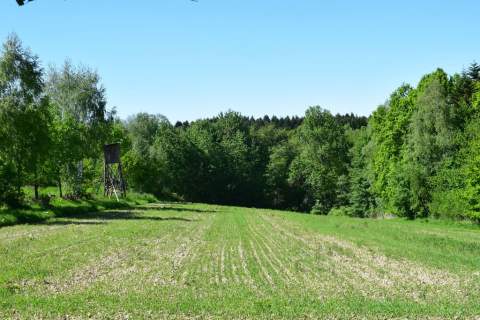 Działki rolne 86a i 112a- Brzeziny