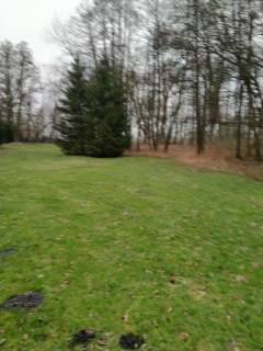 Rzędziny,2000m2,zabud. jednorodzinna,las-park.