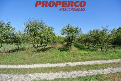 Działka 5400m2, Widuchowa, Busko-Zdrój