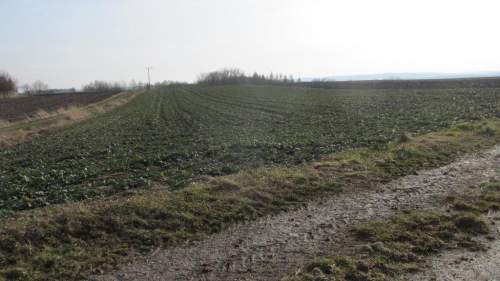Działka rolna w gminie Roźwienica