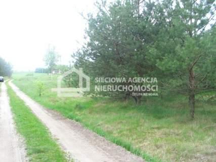 Urokliwa działka w Borach Tucholskich.