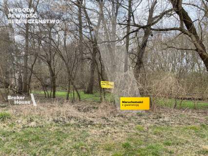 działkausługowabienay działkabielany