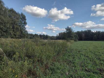 Działka rolno-rekreacyjno-leśna w Makowisku