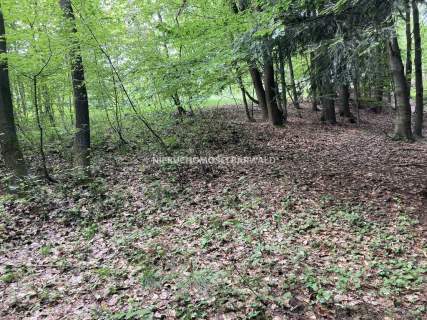 Działka na sprzedaż, 14800 m2, Izdebnik