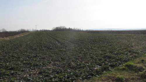 Działka rolna w gminie Roźwienica