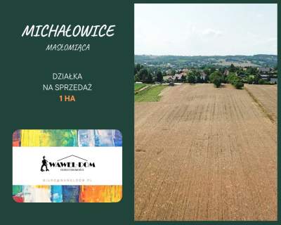 Działka rolna 1 ha w malowniczej okolicy.