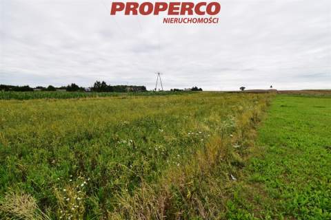 Działka 3000m2, Wolica, gm. Jędrzejów