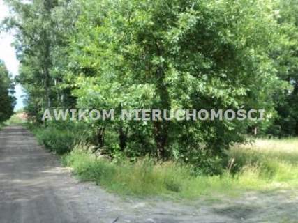 Działka budowlana na sprzedaż, 11500 m2, Piotrkowice
