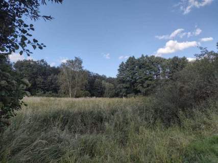Działka rolno-rekreacyjna w Makowisku