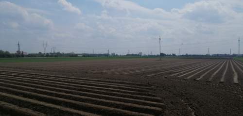 Działka budowlana na sprzedaż, 13800 m2, Topolin