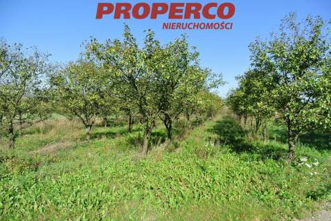 Działka 5400m2, Widuchowa, Busko-Zdrój