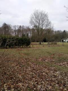 Rzędziny,2001m2,zabud. jednorodzinna,las-park.
