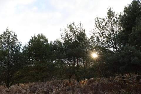 Działka o pow. 1700 m2 na sprzedaż