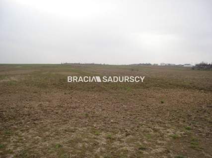 Działka inwestycyjna na sprzedaż, 10000 m2, Morawica