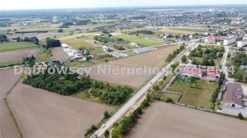 Działka siedliskowa z domem 1,1 HA WIDOWO