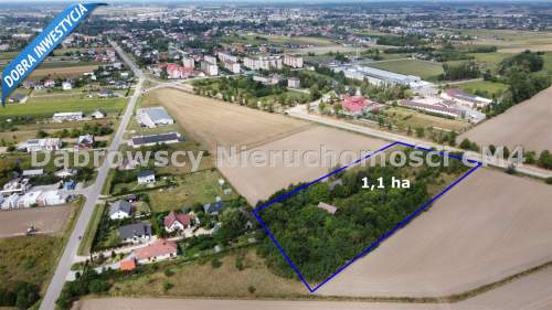 Działka siedliskowa z domem 1,1 HA WIDOWO