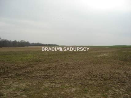 Działka inwestycyjna na sprzedaż, 10000 m2, Morawica