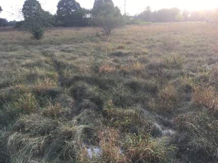 Działkę sprzedam