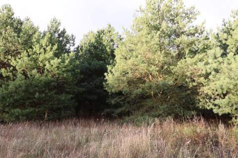 Działka o pow. 1700 m2 na sprzedaż
