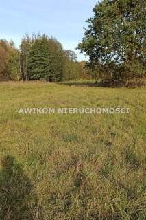 Działka budowlana na sprzedaż, 963 m2, Budy-Grzybek