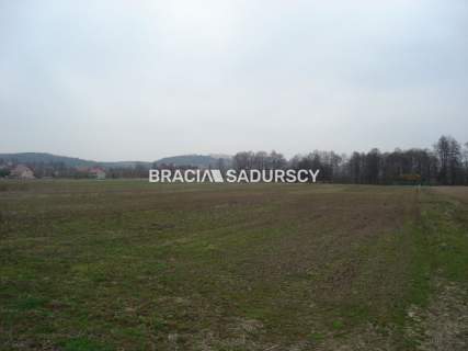 Działka inwestycyjna na sprzedaż, 10000 m2, Morawica