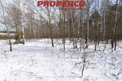 Działka 35 500 m2, Zagórze, gm. Łączna