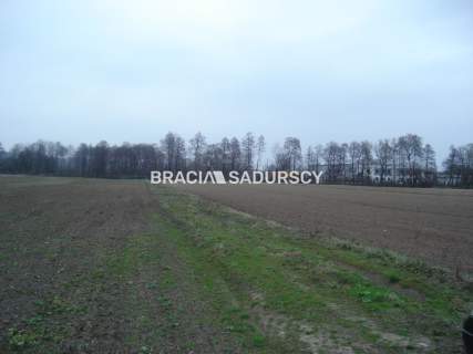 Działka inwestycyjna na sprzedaż, 10000 m2, Morawica