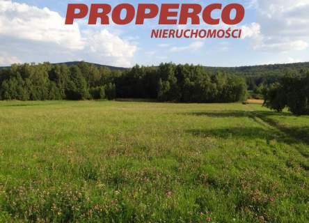 Działka 35 500 m2, Zagórze, gm. Łączna