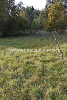 Działka budowlana na sprzedaż, 963 m2, Budy-Grzybek
